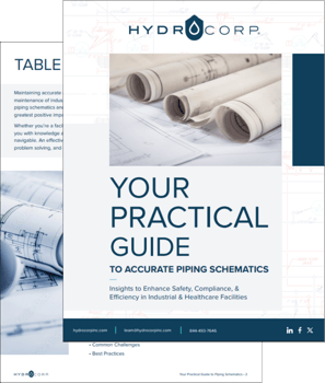 Guide to Piping Schematics Image