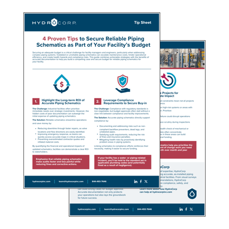 IND Budget Tip Sheet