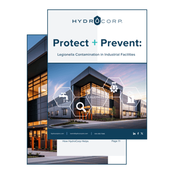 Legionella ebook image IND